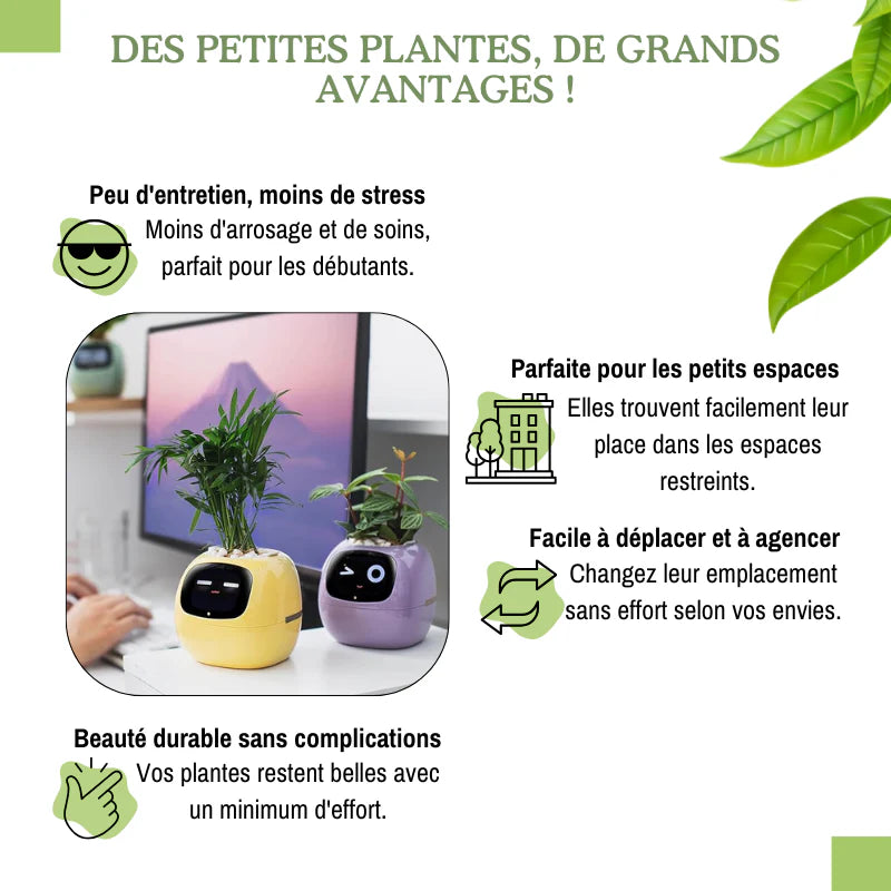 Pot Connecté Intelligent (avec application mobile)- Maison M&S