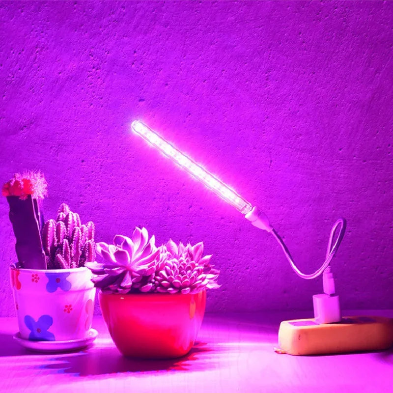 Lampe de croissance plantes