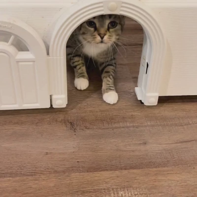 PORTE POUR CHAT + ANTI GRIFFE OFFERT